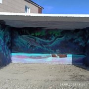 Киты в обрамлении северного сияния - на остановке в Териберке