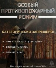 Особый противопожарный режим введен в Оленегорске