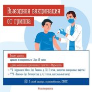 Вакцинироваться против гриппа можно в ТЦ в Мурманске