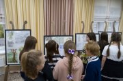 В Мурманске открылась выставка работ участников конкурса «Моя Россия»