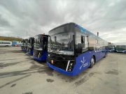 Мурманчане помогли в приемке новых северобусов для Норильска