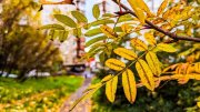 Дождь и +4° обещают завтра в Мурманске
