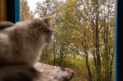 Похолодает и усилится ветер на севере региона