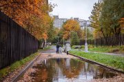 Гололедица, снег, порывистый ветер в ближайшие дни в Мурманской области