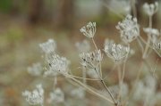 Снегопады пришли в Мурманскую область