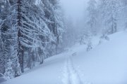 Сильные снегопады в ближайшие дни в Мурманской области