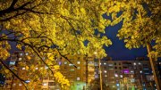 Мурманчанина сбили на пешеходном переходе у Дома престарелых