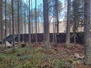 Три подрядчика обновляют здание и территорию детсада в Высоком