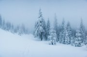 До -18° в середине недели в Мурманской области