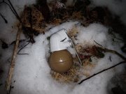 Похожий на гранату предмет нашли в Кандалакше