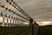 В Мурманске обокравшую ребенка мошенницу посадили на полтора года в колонию
