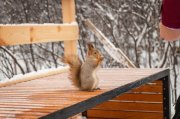 Потеплеет с -23° до 0° в Мурманской области