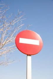 Запретят движение транспорта из-за открытия главной новогодней ели в Мурманске