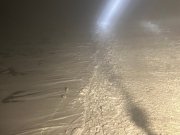 Семья белых медведей уступила дорогу ледоколу в Арктике
