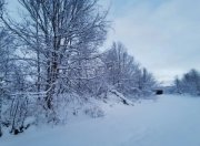 Сильные снегопады пришли в Мурманскую область