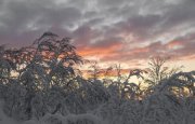 Сильный ветер будет бушевать с вечера до утра в Мурманской области