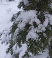 Сильно завьюжит в Мурманской области