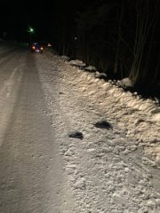 Молодых людей сбила иномарка в Зеленоборском