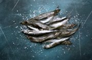 Росрыболовство: мойва подешевела на Северо-Западе на 8,6%