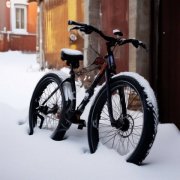 Украденный велосипед нашли по горячим следам в Высоком