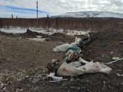 Свалку останков оленей нашли в Мончегорске
