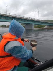 Откуда пятна нефти в Кольском заливе – выясняют специалисты