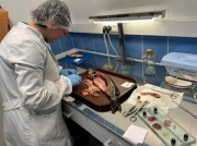 Гельминтов нашли в щуке в Мурманской области