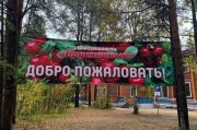 &quot;Брусничный&quot; фестиваль пройдет в Зеленоборском