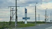 В бедро ребенку вцепилась собака в Мончегорске