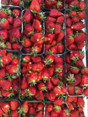 3,5 тонны ежемалины, клубники, облепихи и малины доставили из Киргизии в Мурманскую область