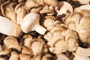 <p><img src="https://novosti-murmanskoy-oblasti.ru/uploads/posts/2024-09/1726819790_mushrooms-concept-autumn-food-autumn-harvest_185193-162424.jpg" alt="" /></p>

<p><em>Готовить блюда из черного груздя стоит с осторожностью</em></p>
<p><br />О том стоит ли употреблять в пищу черные грузди ходят споры. В некоторых справочниках этот гриб даже отнесен к несъедобным. А все потому что в его составе обнаружен мутаген некаторин &mdash; предполагается, что скрытый вред организму он наносит на протяжении длительного времени. К тому же грибы имеют характерную горечь и специфический вкус.</p>

<p>Но на просторах интернета нашлось немало рецептов приготовления черного груздя. Некоторые из них в нашей следующей подборке:</p>

<p>Черные грузди, жареные в муке. Свежие черные грузди вымочить (на ночь или на сутки) и отварить (5-10 минут после закипания). Затем грибы откинуть на дуршлаг, обвалять в муке и обжарить на разогретом масле. Подавать жареные грузди со сметаной, отварным картофелем и маслом. Грибы можно залить сметаной и довести до готовности в духовом шкафу.</p>
<p><br />Вареники с жареными груздями. Грузди нужно перебрать, почистить и помыть. Затем отварить в подсоленной воде минут 15-20. Слить, остудить и измельчить в блендере. Поджарить на сковороде с маслом мелко нарезанный лук, добавить измельченные грузди и еще потомить минут 10-15 минут. В конце добавить немного сметаны для сочности. Начинка гдля вареников готова.</p>
<p><br />Голубцы с перловкой и жареными груздями. Отвариваем грузди, измельчаем и жарим. Готовую ерловку соединяем с грибами. Формируем голубцы с получившейся начинкой, выкладываем их в кастрюлю (для тушения) или в форму для запекания. Готовые голубцы перед подачей можно посыпать жареным луком и полить сметаной.</p>
<p><br />Овощное рагу с жареными груздями. Готовится из тех овощей, которые есть под рукой: картофель, морковь, тыква, лук, чеснок. К пожаренным груздям добавляем овощной набор, порезанный кубиками, и тушим до готовности.</p>

<p><em>Айгуль Булатова</em></p>
<p><em>Фото: Freepik</em></p>

