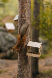 Чиновник мухлевал с муниципальными квартирами в Мурманске