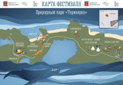 Арктикфест в Териберке перенесли на территоию природного парка