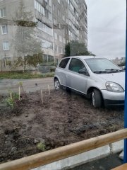 В Мурманске водитель припарковался на свежевысаженные деревья