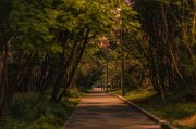 <p><span lang="ru-RU"><img src="https://novosti-murmanskoy-oblasti.ru/uploads/posts/2024-10/1729662071_xsq8x50jsmy.jpg" alt="" />З</span>авершено расследование уголовного дела в отношении начальника управления <span lang="ru-RU">ЖКХ</span> Ковдорского округа. <span lang="ru-RU">Женщину обвиняют</span><span lang="ru-RU">в </span>превышение должностных полномочий.</p>
<p>В апреле 2021 года в рамках госпрограммы &laquo;Формирование комфортной городской среды Мурманской области&raquo; между казенным учреждением и <span lang="ru-RU">подрядчиком</span> был заключен муниципальный контракт по благоустройству территории Ковдора.</p>
<p>Достоверно зная, что подрядной <span lang="ru-RU">организацией</span> работы <span lang="ru-RU">по</span> озеленению не выполнены, обвиняемая в октябре 2021 года приняла решение о приемке и оплате фактически не произведенных работ. В результате преступных действий бюджет<span lang="ru-RU">у</span> причинен ущерб в размере 11,8 млн рублей.</p>
<p>Уголовное дело передано прокурором в Ковдорский районный суд. Этот же суд в настоящее время рассматривает уголовное дело в отношении директора <span lang="ru-RU">компании-подрядчика</span>, совершившего хищение <span lang="ru-RU">денег</span>.</p>
<p><em>Фото: Екатерина Громова</em></p>
<p><br /></p>