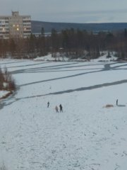 <p><img src="https://novosti-murmanskoy-oblasti.ru/uploads/posts/2024-11/1730823284_seccivev8mm.jpg" alt="" />В Мурманской области начали покрываться льдом водоемы, в том числе, и в Мончегорске. На днях в соцсети появились фотографии, как на неокрепший лед городского озера вышел лыжник.</p>
<p>На белой поверхности видно проталины, но это не смутило спортсмена. Вслед за лыжником на это же озеро вышли дети. Также на водоеме заметили рыбаков.</p>
<p><span style="font-size: 14pt;"><em>&laquo;Бесстрашные какие&raquo;, &laquo;А вот и последствия катания лыжника: дети посчитали, что на лёд уже можно выходить кататься&raquo;, &laquo;Там не глубоко&raquo;, &laquo; Там летом тонут, холодные родники&raquo;, - возмущаются подписчики группы &laquo;Мончегорск портал&raquo; &laquo;Вк&raquo;.</em></span></p>
<p>Родителям детей, которые не побоялись выйти на слабый лед, нужно провести со своим чадами воспитательную беседу, иначе недалеко до беды, - резюмировали мончегорцы. В МЧС ежегодно напоминают &ndash; выходить на такой ледяной наст строго запрещено.</p>
<p><em>Фото: группа &laquo;Мончегорск портал&raquo; &laquo;Вк&raquo;</em></p>