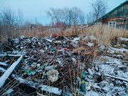 <p><img src="https://novosti-murmanskoy-oblasti.ru/uploads/posts/2024-11/1731049703_dnmanekmpom.jpg" alt="" />На днях в Умбе наводили порядок вокруг контейнерных площадок. Убирали мусор активисты. Как рассказала одна из местных жительниц, она взяла шефство над контейнерной площадкой на улице Горной. Помогают прибираться на этой территории её соседи. В этот раз хлам около площадки убирали трактором. В четырех метрах от контейнера спецтехника случайно сдернула верхний слой почвы. Оказалось, что там находится огромная куча мелкого мусора. Чтобы убрать этот хлам, снова пришлось прибегать к помощи коммунальщиков и трактора.</p>
<p><span style="font-size: 14pt;"><em>&laquo;Жаль не было археологов, а то бы они столько раритетного нашли. Оказалось, что на этом место в ранний советский период была помойка, что подтверждает посуда 1930-х годов. Ее кирпичное основание открылось совершенно неожиданно и вокруг нее лежал приличный слой мусора в радиусе 5 метров. Как долго пользовались помойкой неизвестно. Позже эту территорию завалили крупными камнями и она заросла травой и малиной, скрыв все от любопытных глаз&raquo;, - объяснила Анна Стрелкова.</em></span></p>
<p>В итоге мусор убрали, а площадку выровняли. Местные жители теперь мечтают о том, чтобы в их поселке снесли старые деревянные сараи. Но это уже предложение к муниципальным властям. <br /><em>Фото: Анна Стрелкова</em></p>
