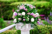 <p><img src="https://novosti-murmanskoy-oblasti.ru/uploads/posts/2024-12/1733246174_wedding-flowers-green-park_1268-14288.jpg" alt="" /></p>

<p><em>В гармоничном саду ампельные растения являются ключевым акцентом. Они не заставляют вас смотреть на пол.</em></p>

<p>Эти цветы в подвесных кашпо, аоборот, окрашивают красками все пространство вокруг. Сегодня я расскажу о своих любимых растениях из данной группы.</p>

<p>Бакопа<br />Это цветущее облако. Растет активно, зеленая масса густая, очень много бутонов, всегда имеет праздничный вид.</p>

<p>Плющелистные пеларгонии<br />Летом могут быть садовыми ампельниками-однолетками, а на зиму нужно забирать домой. Для кашпо их можно сочетать с лобелией или сажать разные сорта в один горшок.</p>

<p>Бегония<br />Это звезда для подвесных кашпо. Красивы как листья, так и бутоны. Сортов множество, каждый найдет свое растение. Для лучшего цветения можно пару раз за сезон полить их сладкой водой &mdash; 1ст.л. песка на 1ст воды.</p>

<p><em>Ольга Артасова</em></p>
<p><em>Фото: freepik</em></p>