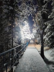 <p><img src="https://novosti-murmanskoy-oblasti.ru/uploads/posts/2024-12/1734677574_bqqpwtwmmqq.jpg" alt="" />В Умбе примерно год назад появились красивые световые конструкции. Они сделаны в виде елей. Установлены вдоль дороги и деревянных помостов. По этой пешеходной тропе часто ходят местные жители. Это украшение &mdash; подарок от музея-заповедника &laquo;Петроглифы Канозера&raquo;.</p>
<p><span style="font-size: 14pt;"><em>&laquo;Многим наша затея пришлась по душе, темная дорожка стала светлее и радостнее. Но есть и такие, кому ёлочки мешают. Неустановленные пока хулиганы регулярно пакостят: то скрутят ёлочки в бараний рог, то выдернут кабель &laquo;с мясом&raquo;, то обесточат. Восстановление требует сил и времени&raquo;, - рассказала местная жительница Татьяна Кострова.</em></span></p>
<p>Жительница Умбы обратилась к односельчанам с просьбой оставить ёлочки в покое и не лишать родной поселок радости, а если заметили хулиганов &mdash; сообщить в музей &laquo;Петроглифы Канозера&raquo;.<br /><em>Фото: Татьяна Кострова</em></p>