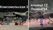 <p><img src="https://novosti-murmanskoy-oblasti.ru/uploads/posts/2024-12/1735214781_mycollages451.jpg" alt="" />Жители Ковдора пожаловались на мусорный коллапс, который возник в городских дворах.</p>

<p><span style="font-size: 14pt;"><em>&mdash; В Ковдоре мусорный коллапс, прошу вмешаться, &mdash; подчеркнул северянин Дмитрий Зозуля, обращаясь к губернатору в соцсетях.</em></span><br /><br />Так, мусор скопился возле домов на улицах Слюдяная, Комсомольская, Кошица и Ленина.<br /><br />Фотографии переполненных баков и пакетов с отходами, стоящих рядом с контейнерами, опубликованы в паблике &laquo;Аноним Ковдор&raquo;.<br /><br /><span style="font-size: 14pt;"><em>&mdash; Печально&hellip; Век таких технологий, новшеств, красоты, эстетики, а мы живем как крысы в помойке, &mdash; цитируют в сообществе слова подписчицы, выложившей фотоснимки.</em></span></p>
<p><br />Северяне отметили, что подобная ситуация сложилась и в других дворах.<br /><br /><span style="font-size: 14pt;"><em>&mdash; То же на Кирова и Горняков, &mdash; отметил Олег Нестеров.</em></span><br /><span style="font-size: 14pt;"><em>&mdash; Когда контейнеры ставили, говорили, что все огонь будет. Что в мусоре зарастать никто не будет, все будет вовремя, &mdash; посетовала Яна Матвеева.</em></span><br /><span style="font-size: 14pt;"><em>&mdash; Это подарки на новый год. Разбирай, народ! &mdash; с сарказмом написал Олег Капинос.</em></span><br /><span style="font-size: 14pt;"><em>&mdash; У нас на Ленина, 8 не лучше. Можно уже с мусорных гор на санках кататься, &mdash; посетовала Ирина Бородина.</em></span><br /><br />На жалобы северян отреагировал регоператор, отметив, что мусор не смогли вывезти вовремя из-за поломки техники.</p>
<p><br /><span style="font-size: 14pt;"><em>&mdash; К сожалению, из-за поломки специальной техники мусоровывозящая компания, обслуживающая Ковдор, не смогла вовремя вывезти твердые коммунальные отходы с контейнерных площадок города. В результате было допущено переполнение контейнеров на ряде площадок, &mdash; пояснили в Мурманском филиале АО &laquo;Ситиматик&raquo;.</em></span></p>
<p><br />Там отметили, что ситуацию удалось выправить.</p>
<p><br /><span style="font-size: 14pt;"><em>&mdash; Мусор вывезли со всех площадок с так называемой &laquo;заглубленкой&raquo;. Площадки, оборудованные контейнерами 1,1 м. куб., будут &laquo;зачищены&raquo; сегодня до конца дня, &mdash; пообещали в компании.</em></span><br /><br /><em>Фото: https://vk.com/anonimuskovdor51</em></p>