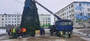 <p><img src="https://novosti-murmanskoy-oblasti.ru/uploads/posts/2025-02/1739271353_tirqvet8gbw.jpg" alt="" />На площади Ленина в Никеле начали разбирать праздничную ель. Снимки опубликовали местные жители в паблике &laquo;Никель [Ni]&raquo;.</p>
<p><br /><span style="font-size: 14pt;"><em>&mdash; В Никеле на площади имени Ленина начался демонтаж новогодней ёлки, &mdash; цитирует паблик слова автора фотографий Ирины Харитоновой.</em></span></p>
<p><br />В комментариях пользователи шутят, что, в принципе, её можно было бы и не убирать.</p>
<p><br /><span style="font-size: 14pt;"><em>&mdash; Тут осталось месяцев 10, &mdash; написал Михаил Башлыков.</em></span></p>
<p><br /><span style="font-size: 14pt;"><em>&mdash; Всё-таки до марта не дотянули, &mdash; шутит Ирина Иванова.</em></span></p>
<p><br />Ранее сообщалось, на центральной площади в Никеле прошло <a href="https://novosti-murmanskoy-oblasti.ru/48679-novyy-god-naoborot-vnikele-poproschayutsya-sdedom-morozom-ielkoy-dosleduyuschey-zimy.html" target="_blank">праздничное</a> закрытие городской ёлки &laquo;Новый год наоборот!&raquo;. А в Оленегорске новогоднюю ёлку уже <a href="https://novosti-murmanskoy-oblasti.ru/48956-dolgo-radovala-novogodnyuyu-elku-demontirovali-volenegorske.html" target="_blank">демонтировали</a>.</p>
<p><br /><em>Фото: Ирина Харитонова / https://vk.com/nikel_ni</em></p>