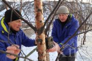 <p><img src="https://novosti-murmanskoy-oblasti.ru/uploads/posts/2025-03/1741079380_lt0_bswewce.jpg" alt="" />В Заполярном установили фотоловушки, чтобы следить за краснокнижной европейской косулей, замеченной ранее на территории промплощадки. Об этом рассказали в издании &laquo;Kn51&raquo;.</p>
<p><br />Уточняется, что это редкое животное занесено в Красную книгу Мурманской области.</p>
<p><br /><span style="font-size: 14pt;"><em>&mdash; Теперь за ней будут наблюдать с помощью фотоловушек, &mdash; пояснили в паблике.</em></span></p>

<p>По результатам наблюдения будет принято решение о ее дальнейшей судьбе &mdash; оставить косулю на месте или перевезти в более безопасное место.</p>
<p><br />Ранее сообщалось, что европейскую косулю в Заполярном <a href="https://novosti-murmanskoy-oblasti.ru/49685-vzapolyarnom-zametili-evropeyskuyu-kosulyu.html" target="_blank">запечатлели</a> на видео. В тот момент животное чем-то увлечённо ужинало.</p>

<p><em>Фото: https://vk.com/izdaniekn51<br /></em></p>