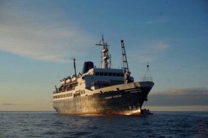 <p>В этом году 21 марта отмечается День весеннего солнцеворота или равноденствия. Праздник ассоциировался у наших предков с приходом весны. Было принято восхвалять Солнце. Считалось, что в этот день природа просыпается от зимы, тьма уходит, а светлых дней становится больше.</p>
<p>Внимательно в этот день наблюдали и за погодой. Если было ясно и солнечно, то лето должно быть теплым и урожайным. Если дождливо, то лета станет пасмурным. Теплый ветер предсказывал раннюю и мягкую весну. Холодный — предвещал затяжную весну с заморозками.</p>
<p>Жителям Островного предлагают вспомнить о традициях и порадоваться наступлению весны вместе. Центр культуры ЗАТО приглашает 22 марта в 15:00 в культурное пространство «Саамский уголок» на мастер-класс по росписи пряников, приуроченный ко Дню весеннего солнцеворота.</p>
<p>
<div id="yandex_rtb_R-A-12070551-1"></div>
<script>
window.yaContextCb.push(() => {
Ya.Context.AdvManager.render({
"blockId": "R-A-12070551-1",
"renderTo": "yandex_rtb_R-A-12070551-1"
})
})
</script>
</p>
<p><i>Фото: Татьяна Ланкинен</i></p>