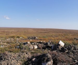 Необычного пассажира трехколесного транспортного средства заметила жительница поселка. В коляске мотоцикла сидела лайка. Водитель, по-видимому, отлучился и оставил своего четвероногого друга охранять мотоцикл. <br /><br />Удивило и насмешило прохожих то, что хозяин животного по всем правилам, рассчитанным на людей, надел на пса шлем. <br /><br />Тем временем, собака была серьезна и спокойна, видимо, такие поездки и в этой амуниции для нее — не впервой. <br /><br /><i>Фото: vk.com/sabupowa58</i>