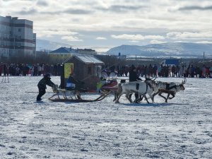 Необычного пассажира трехколесного транспортного средства заметила жительница поселка. В коляске мотоцикла сидела лайка. Водитель, по-видимому, отлучился и оставил своего четвероногого друга охранять мотоцикл. <br /><br />Удивило и насмешило прохожих то, что хозяин животного по всем правилам, рассчитанным на людей, надел на пса шлем. <br /><br />Тем временем, собака была серьезна и спокойна, видимо, такие поездки и в этой амуниции для нее — не впервой. <br /><br /><i>Фото: vk.com/sabupowa58</i>