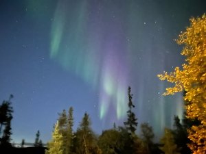 <p>В Мурманской области продолжается учебно-тренировочный сбор по применению техники повышенной проходимости. В центре Хибин спасателей поприветствовал советник Главы МЧС России Даниил Мартынов.<br /><span style="font-size: 14pt;"><em>&mdash; От каждого из вас зависит дальнейшее развитие снегоходного направления в министерстве. Мы обязаны с вами своими руками, своими силами и потом создать мощную инструкторскую снегоходную школу МЧС России, &mdash; отметил Даниил Мартынов.</em></span><br />Советник Главы МЧС ознакомился с работой дежурной смены на контрольно-спасательном посту Куэльпорр. Эта точка находится в горах. Пост играет ключевую роль в обеспечении безопасности туристов. Спасатели провели теоретические и практические занятия по оказанию первой медицинской помощи.</p>
<p><em>Фото: ГУ МЧС России по МО</em></p>