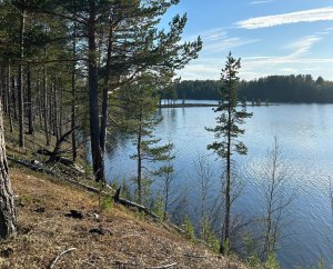 <p>Подростка обвиняют в совершении пяти хищений денег с банковского счета. С 3 августа по 14 октября 2024 года парень, находясь в квартире, втихаря взял телефон отчима.<br />На гаджет было установлено приложение &laquo;мобильный банк&raquo;. Парень совершил пять денежных переводов на общую сумму 119 тысяч рублей на свой собственный счет. После деньги потратил.<br />Потерпевший обратился в полицию. Вскоре оперативники установили личность несовершеннолетнего. На стадии предварительного следствия подросток признал вину и возместил ущерб.<br />За совершение каждого из преступлений установлено наказание в виде лишения свободы на срок до 6 лет со штрафом и с ограничением свободы либо без таковых. Уголовное дело уже в суде.</p>
<p><em>Фото: Екатерина Громова</em></p>