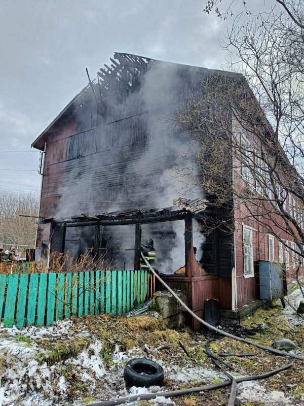 Погибли собаки в горящем доме в Кандалакше