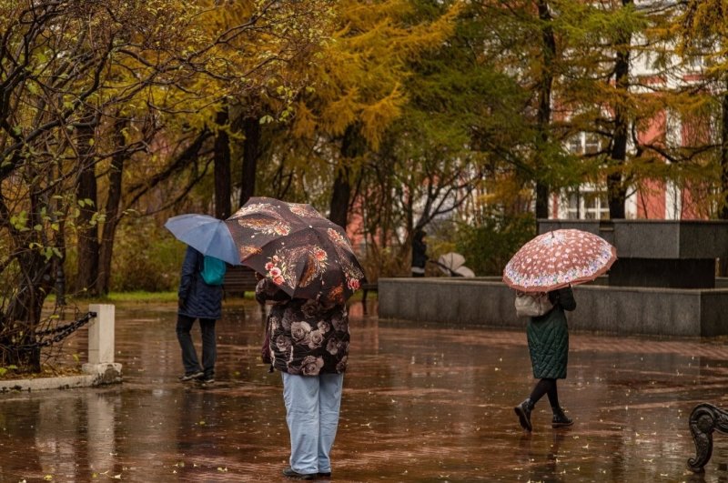 Затяжные ливни накроют Мурманскую область