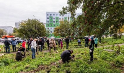 Семь тысяч саженцев передадут мурманчанам для озеленения города